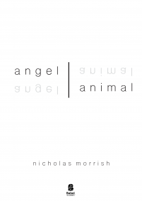Angel | Animal image